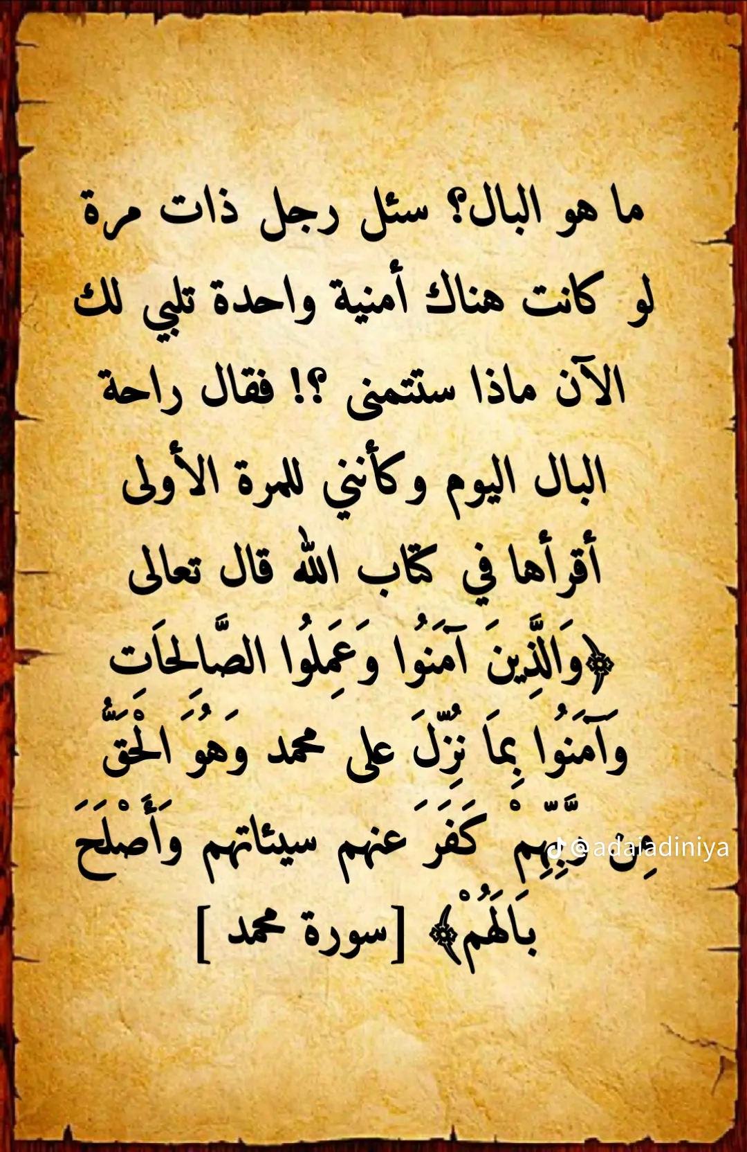 ���� ����_c3M_E