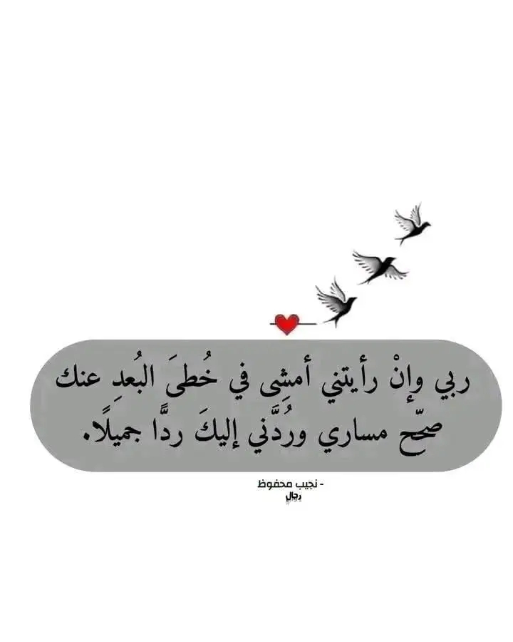 zeynbou