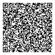 ساليكي حمادي